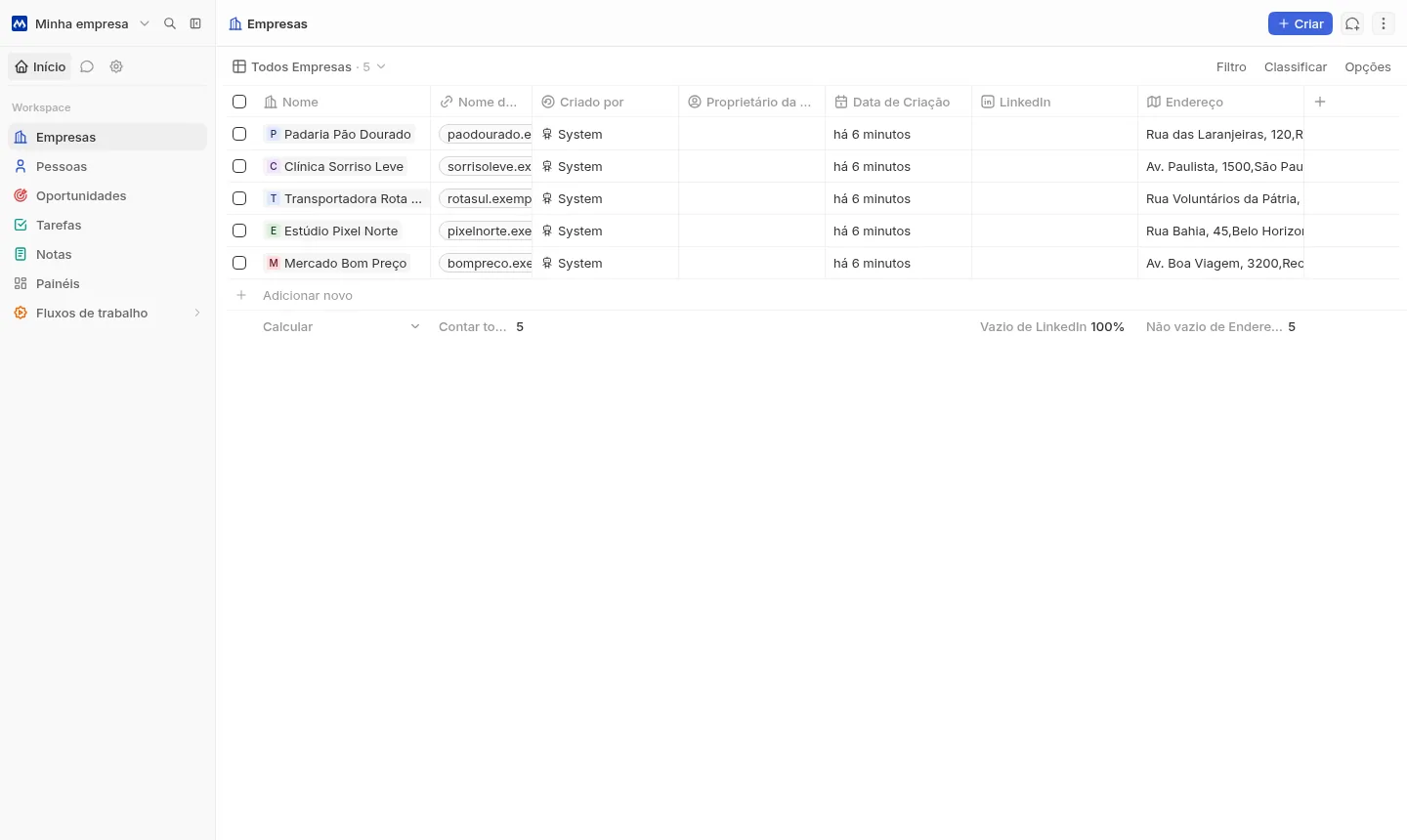 Lista de empresas em formato de planilha, com domínio, endereço e data de criação (exemplo).