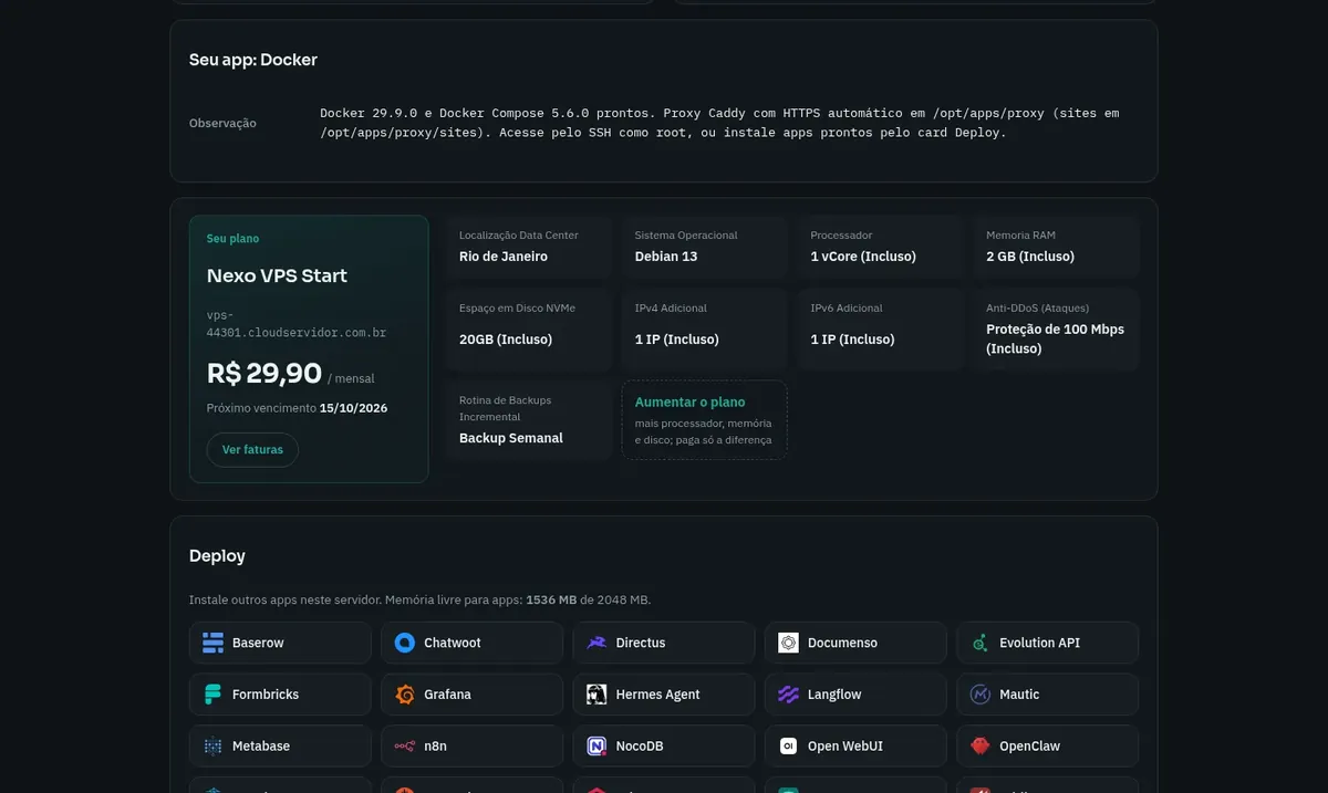 Painel da VPS com o Docker entregue e o card Deploy para ins