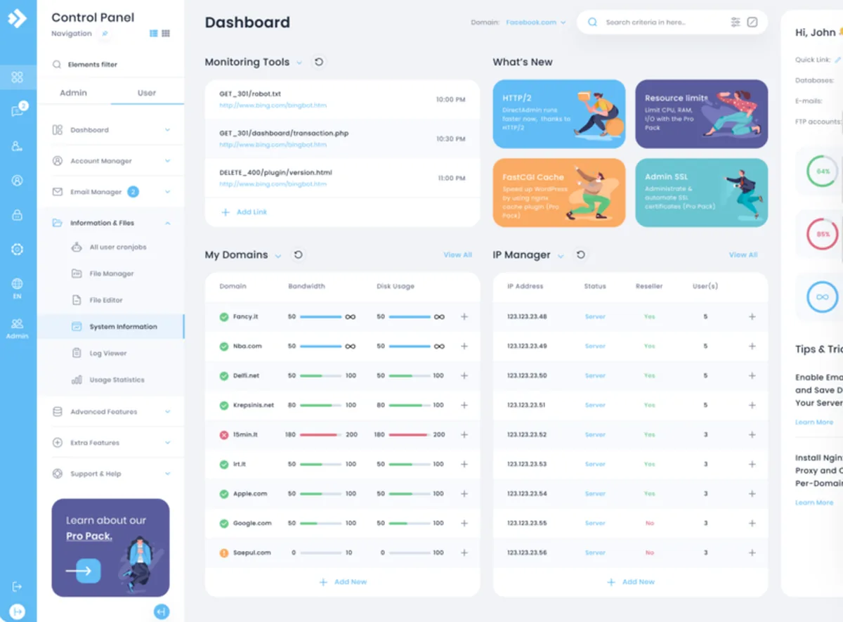 Dashboard do DirectAdmin (skin Evolution)